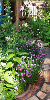 Nottingham gardening